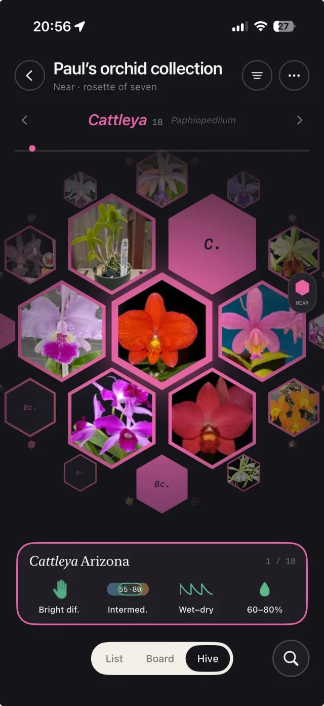 The Hive view showing a rosette of Cattleya records